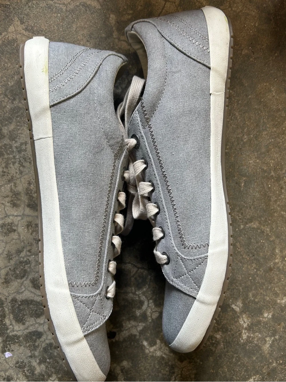 Taos Women Star Gray Canvas Fashion Sneaker Size 12